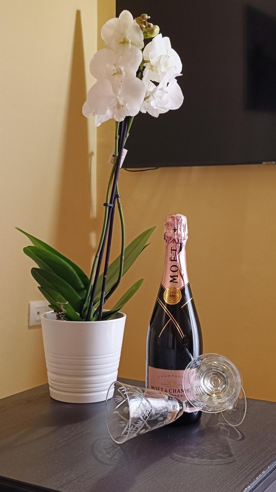 Maison Des Fleurs