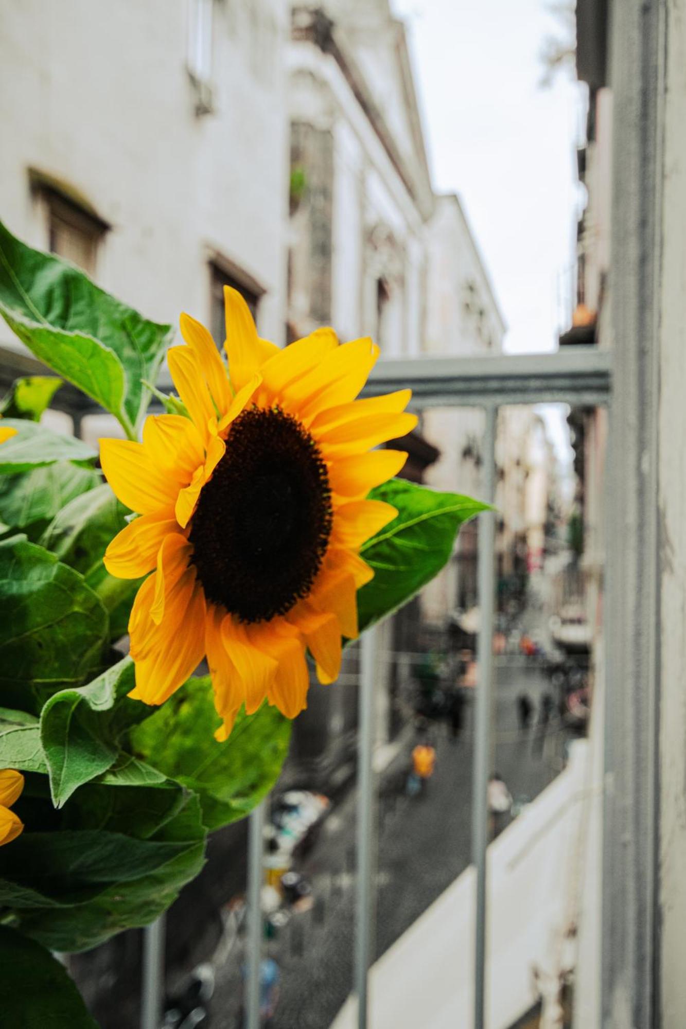 Guest house Centro, Dm Naples