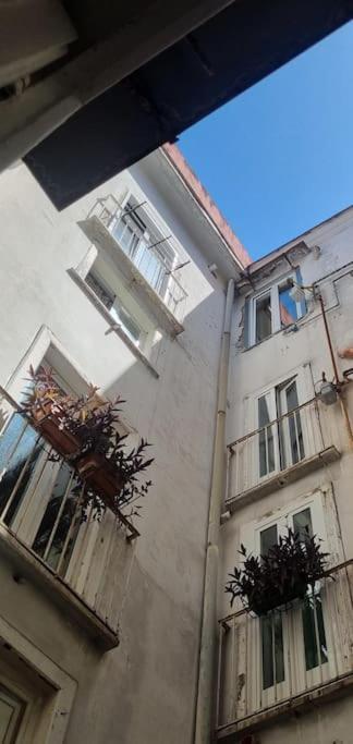 Modern Hospitality Exclusive Apartment Naples