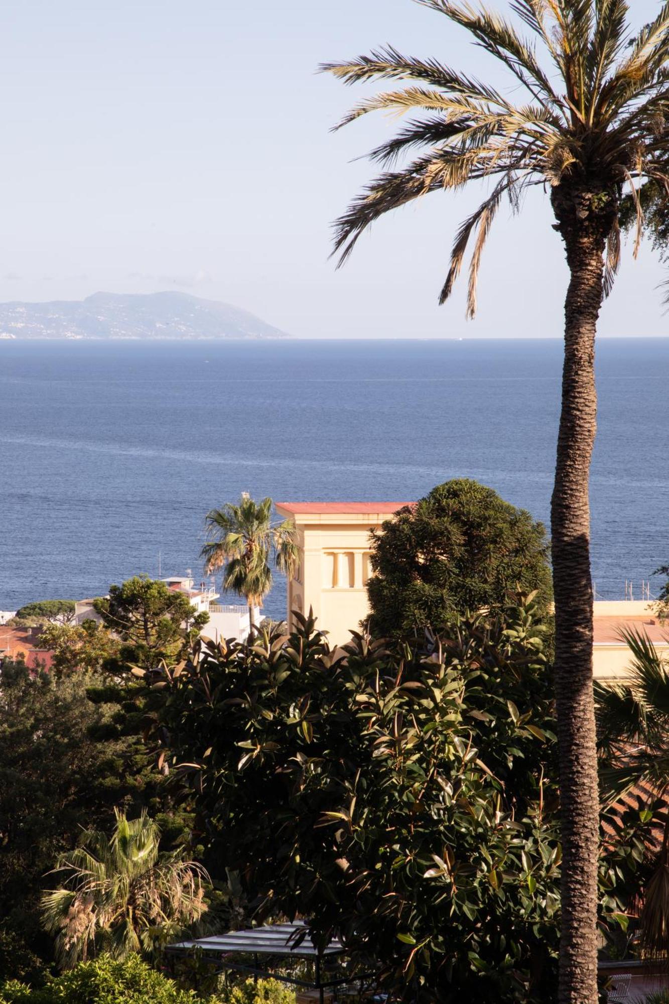 De Bonart Naples, Curio Collection By Hilton