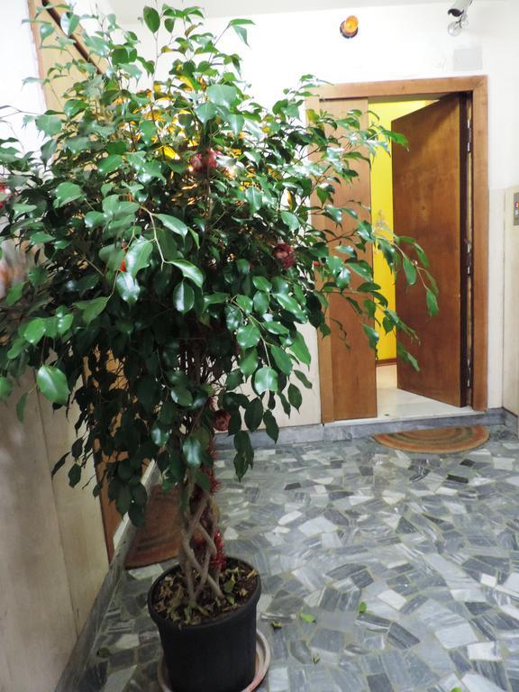 Sinfonia Di Apartment *