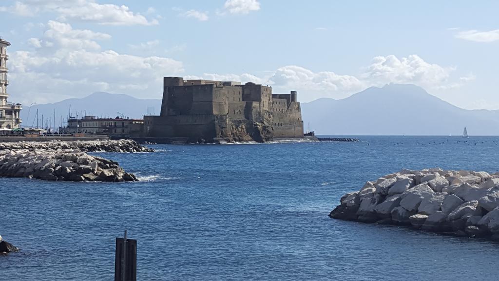 Carolina Plebiscito R. Naples