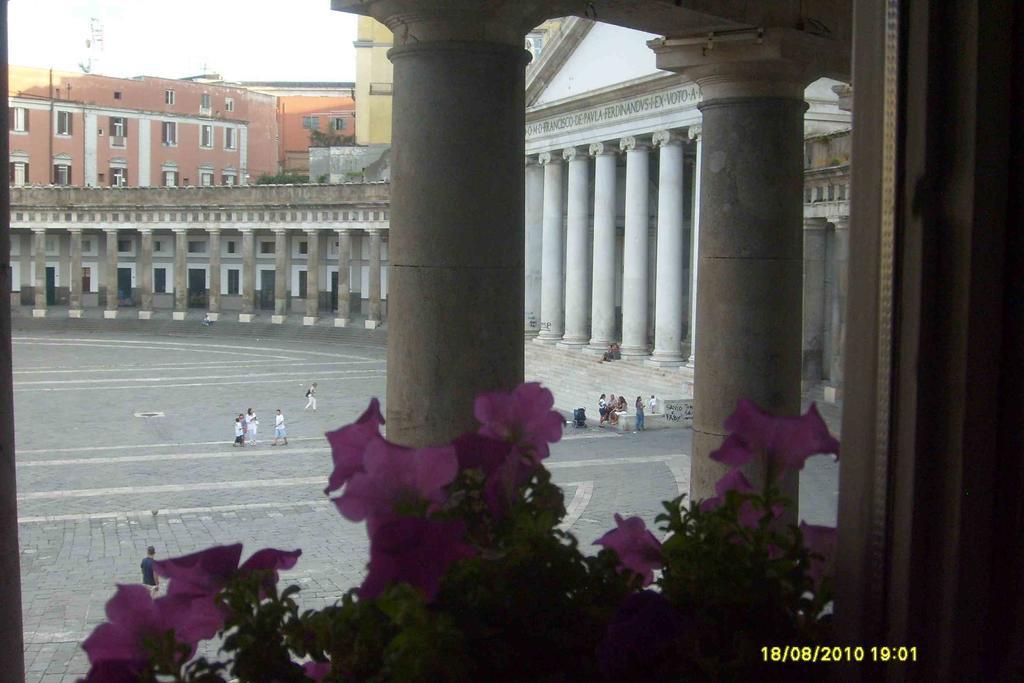 Carolina Plebiscito R. Naples