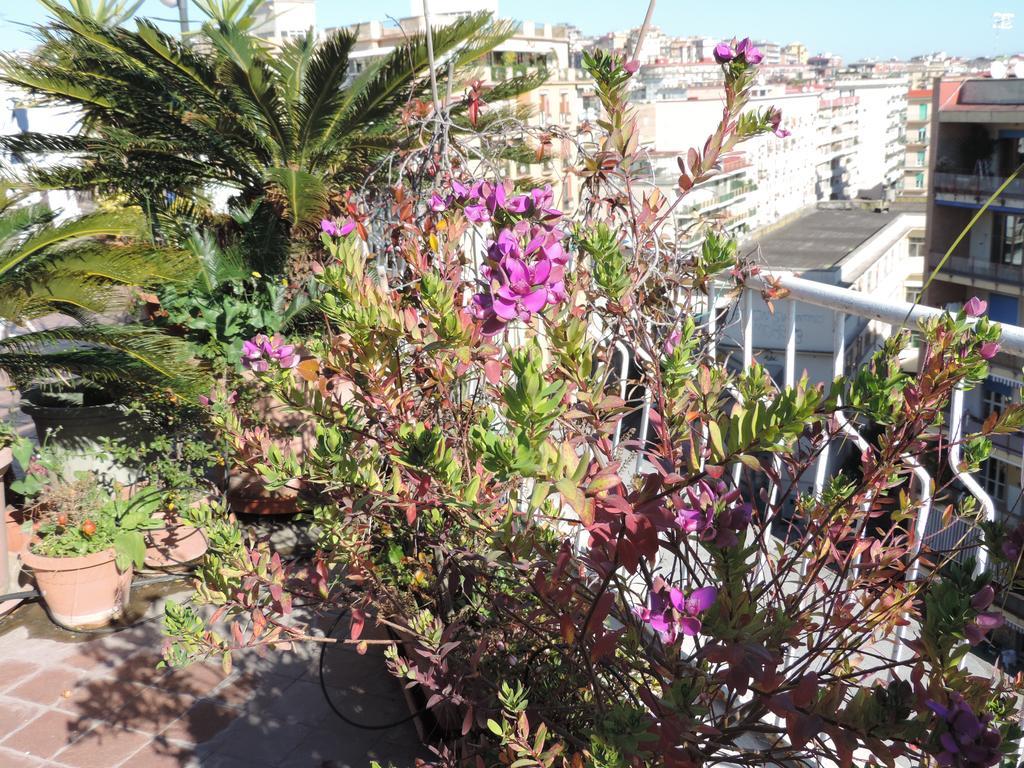 Apartment Sinfonia Di