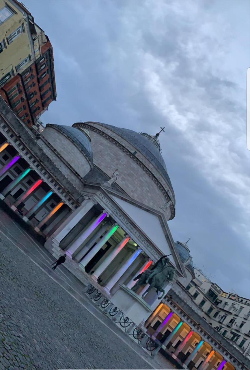 Carolina Plebiscito R. Naples
