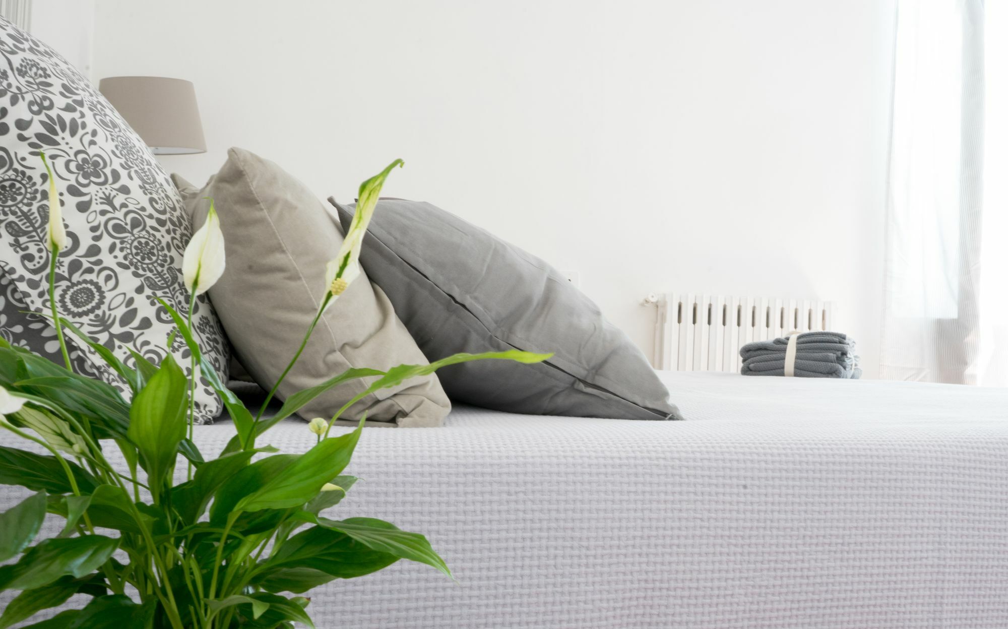 Bed & Breakfast Taggarb Naples