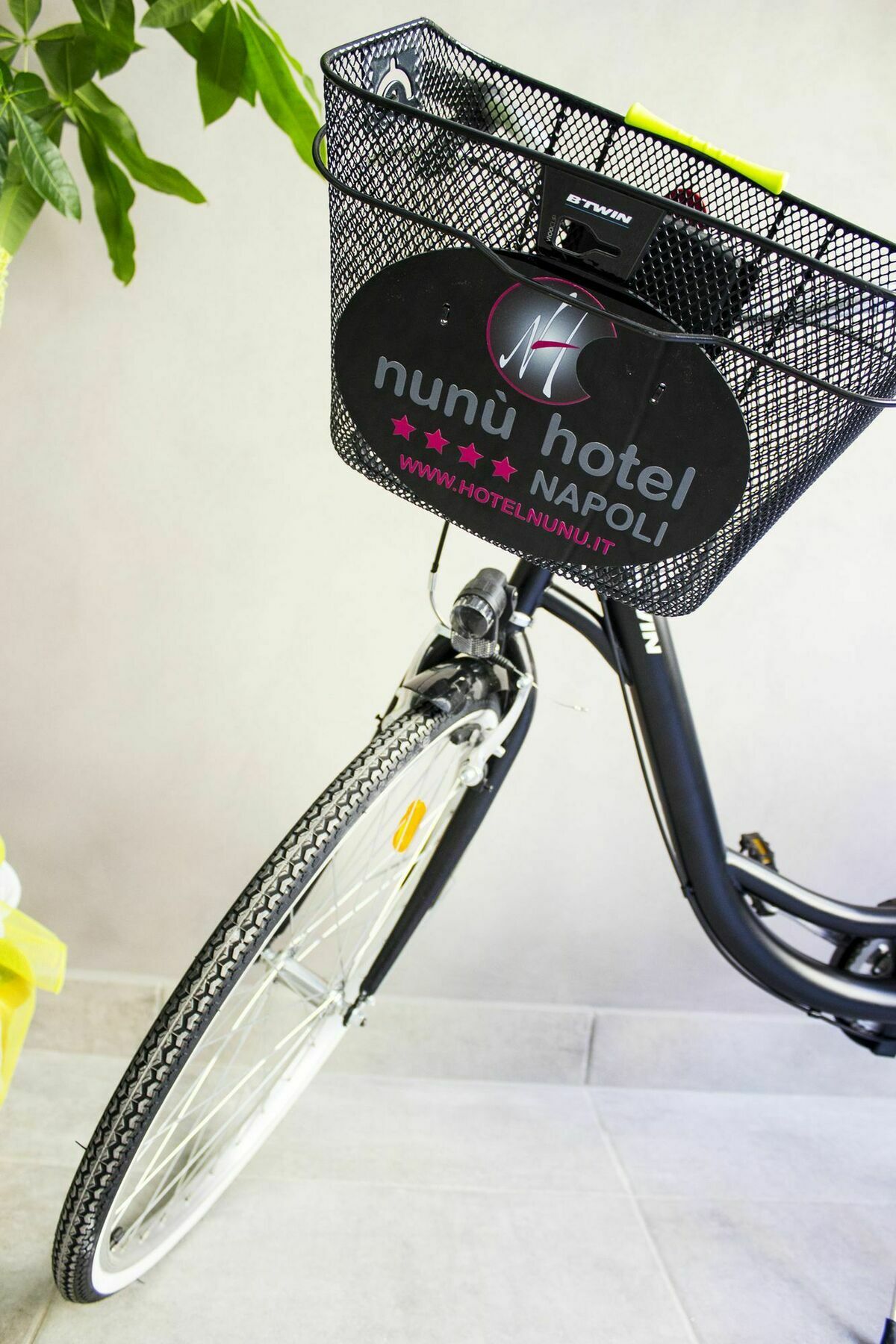 Nunu Naples