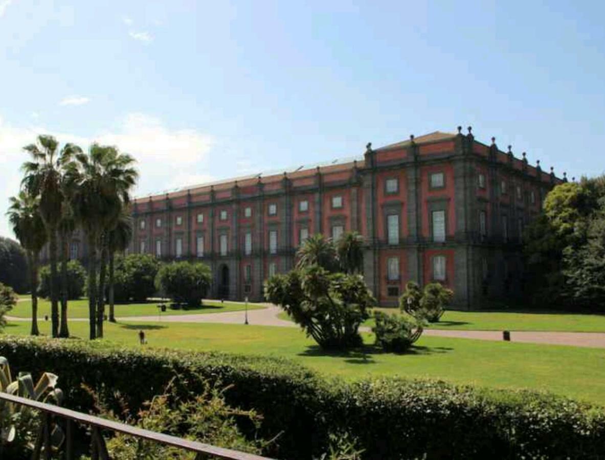 Linea1 * Naples