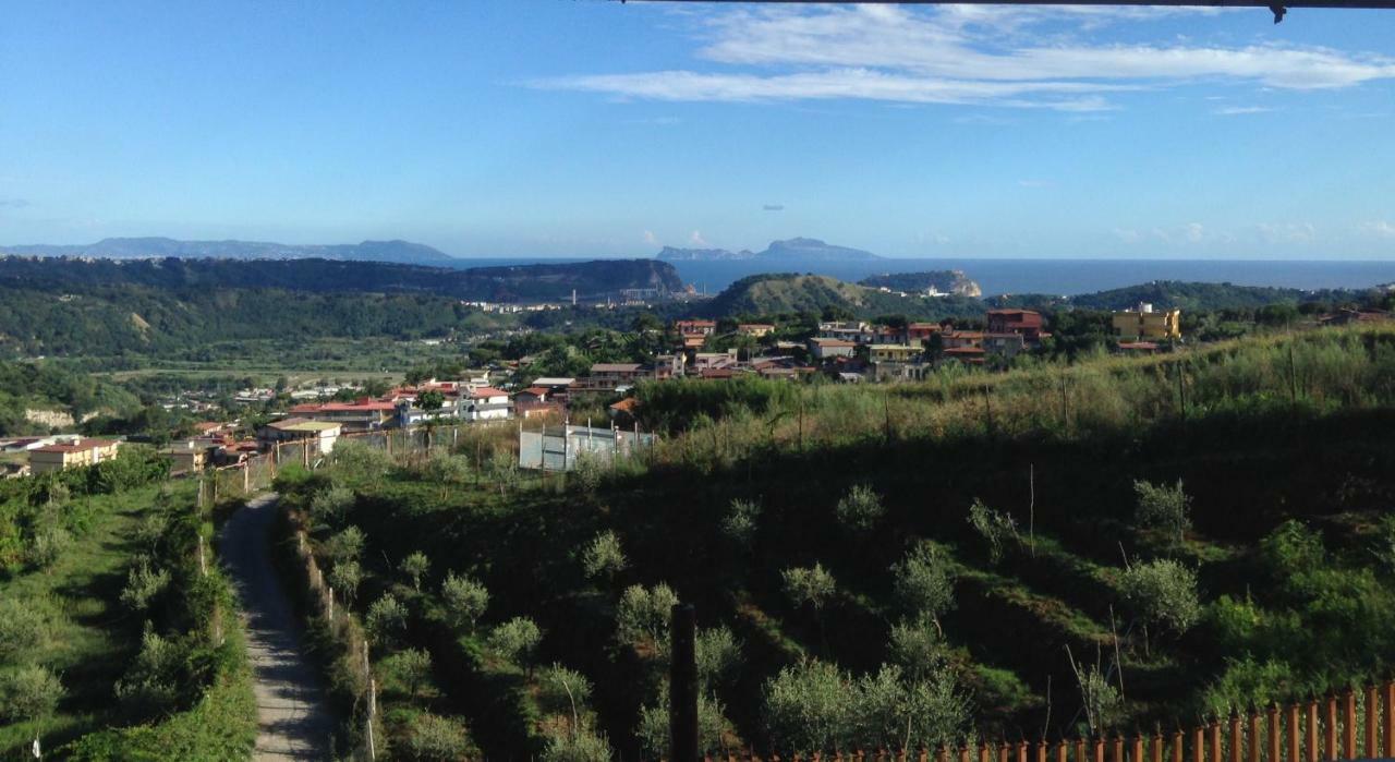 Guest house Sea View