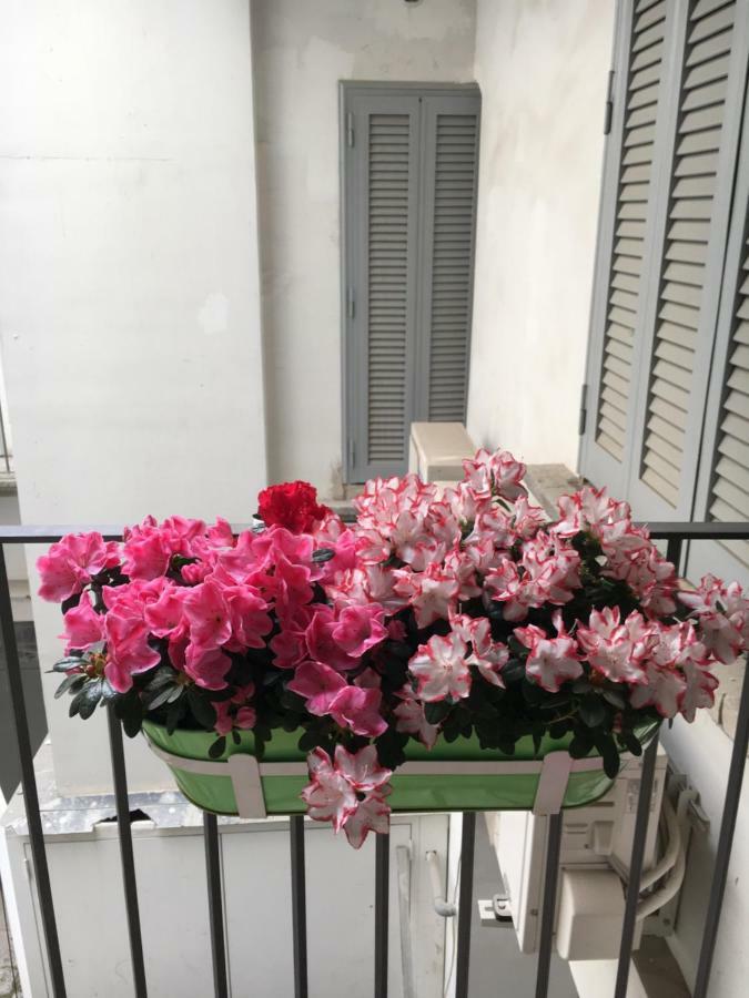 Fafa Apartment *