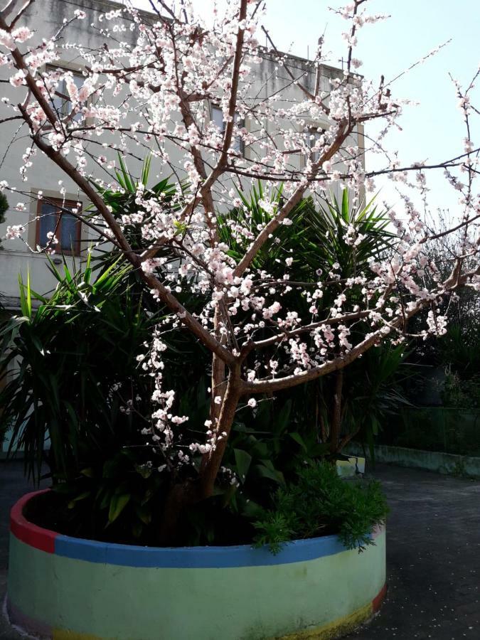 Santa Maria Maddalena Bed & Breakfast *