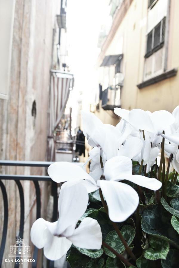 San Lorenzo's Bed & Breakfast 2*