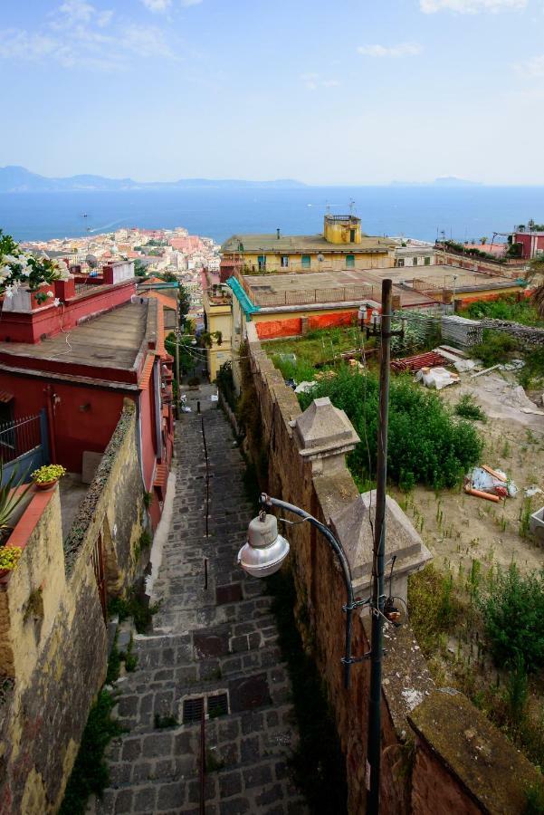 Panoramico 