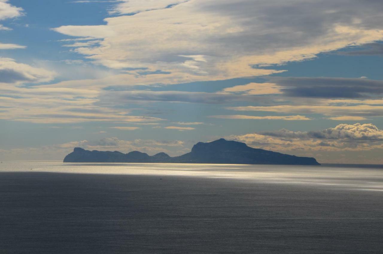 Panoramico 