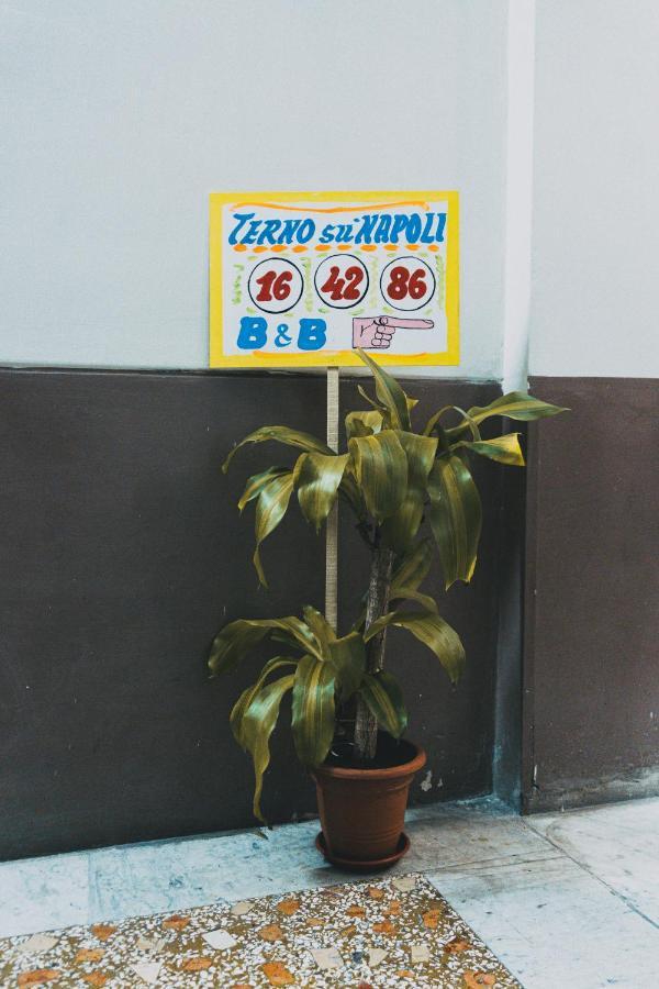 Bed & Breakfast Terno Su 2*