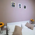 Cammaroomi