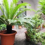 B&B Fiumara