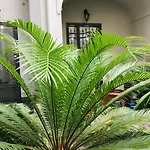 B&B Fiumara