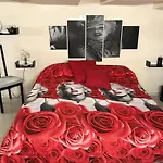 Lucy Hostel