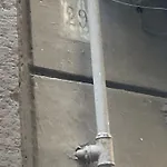 Zuccarella \