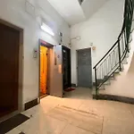 House Fox