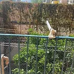 La Casa Dei Nonni