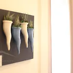 Maison Cantone