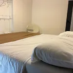 Happy Fly