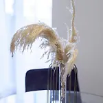 Luxury Apartment In Central City
