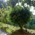Casa Verde