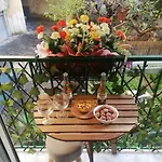 Da Ninetta Resterete Senza Parole, Garantito!