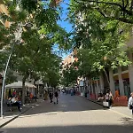 Art Flat Municipio