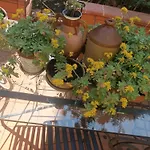 Il Giardino Nascosto