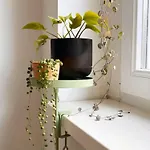 14 Fourteen Apartment