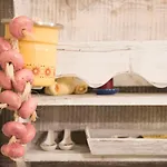 The Brilliant Place