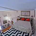 Casa Titi