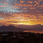 Il Volo Del Gabbiano