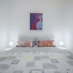 Miranda Apartments Nel Cuore Del Vomero