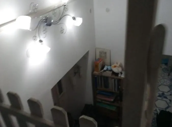 Serena\'S Nest
