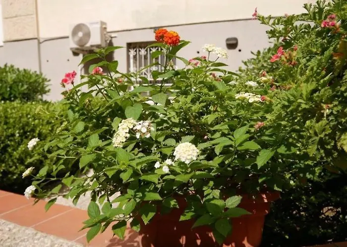 House With Garden And Parking Space In Mergellina