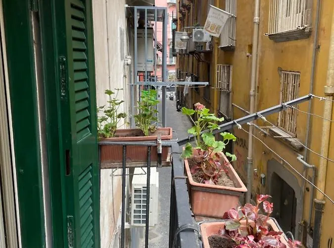 Le Suite Di Ginevra