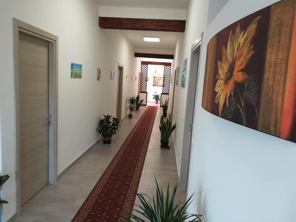 Casa Le Ali - Fraternita E Spiritualita Nel Cuore Di Bed & Breakfast