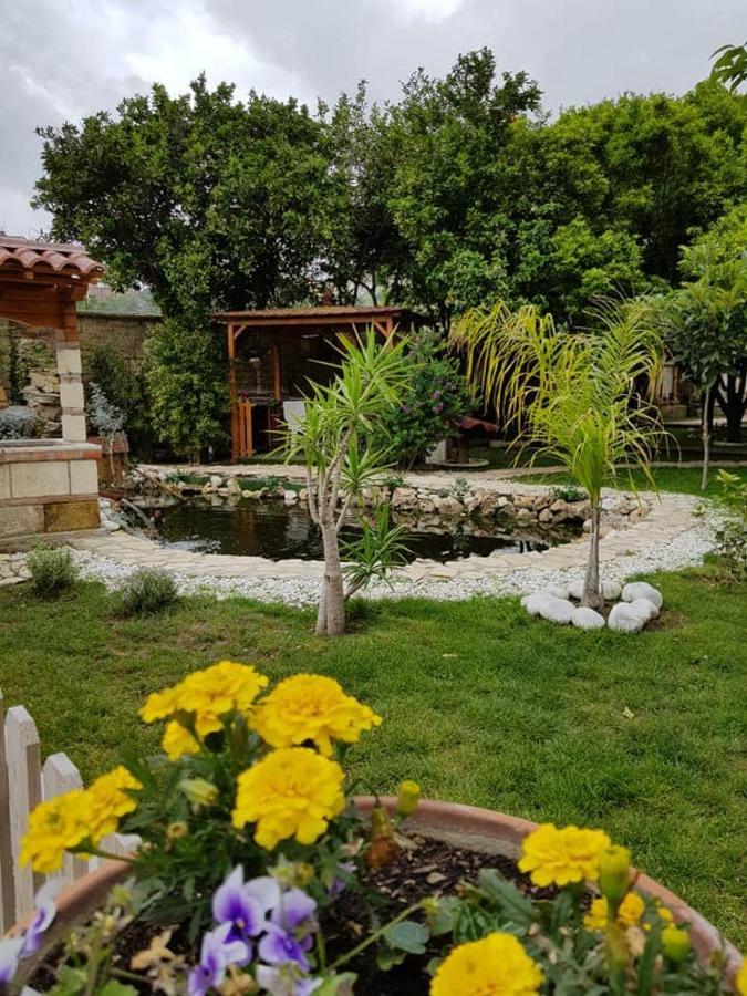 Casa Le Ali - Fraternita E Spiritualita Nel Cuore Di Bed & Breakfast *