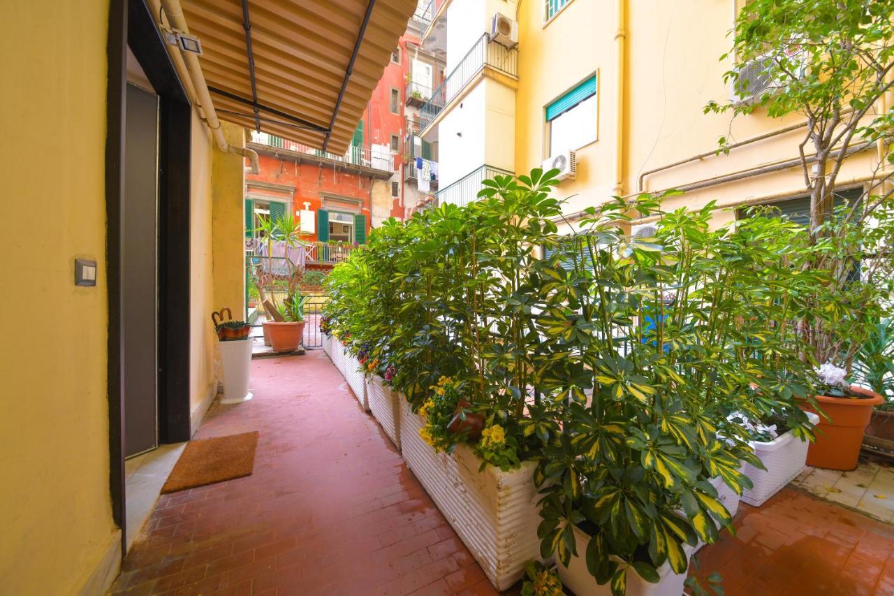 Guest house Domus 42 2*