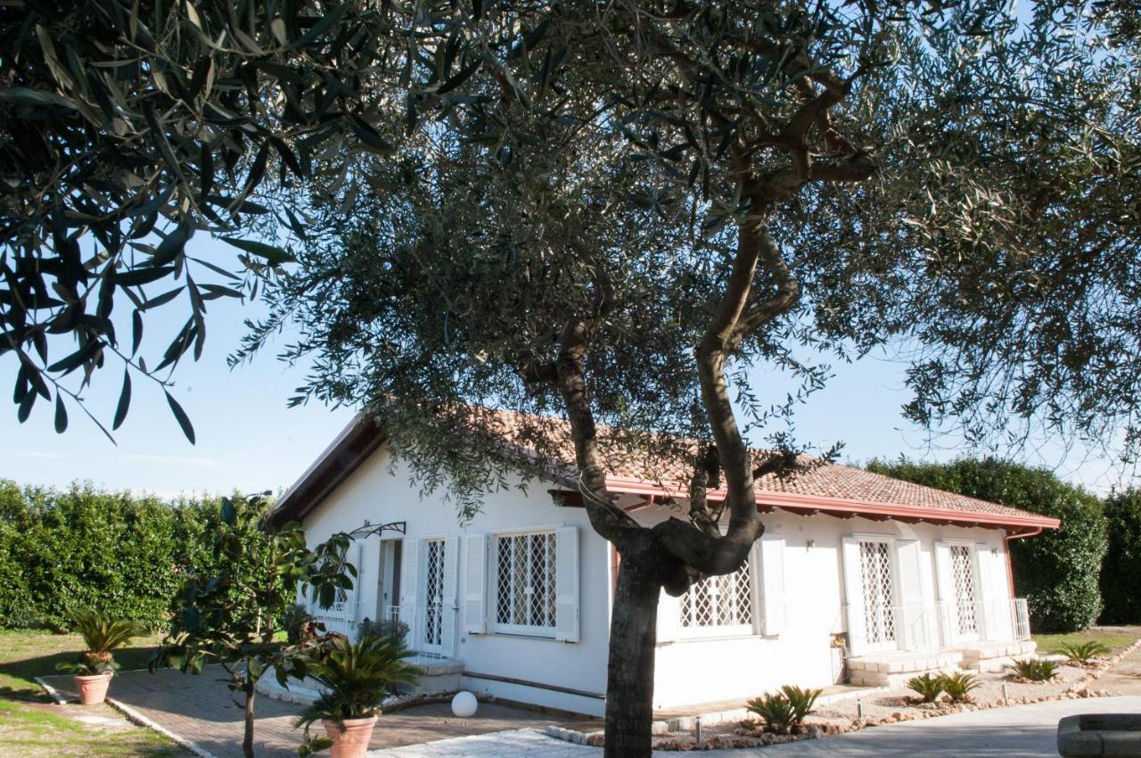 Bed & Breakfast Tenuta Michele Naples