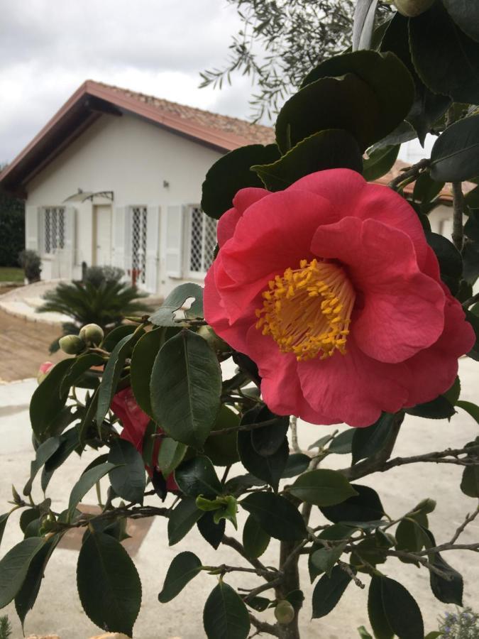Tenuta Michele Naples