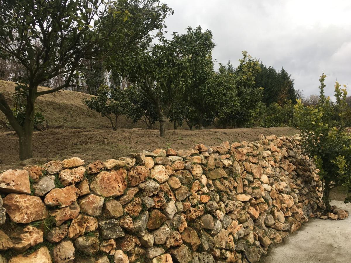 Bed & Breakfast Tenuta Michele