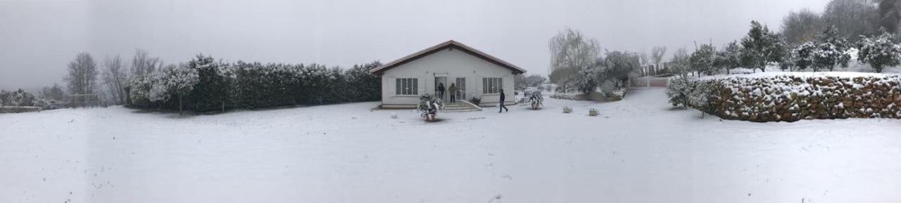 Bed & Breakfast Tenuta Michele *