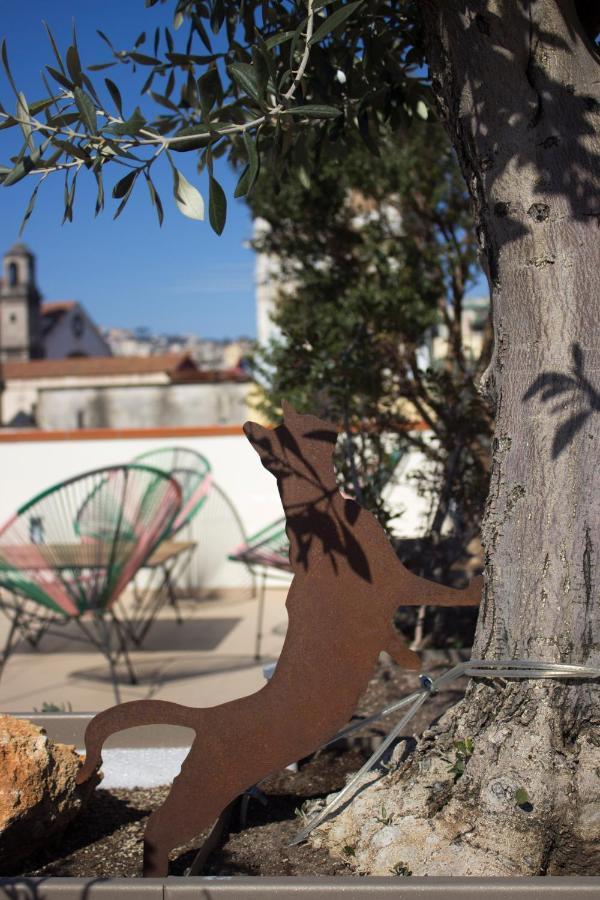Schiara Bed & Breakfast 3*