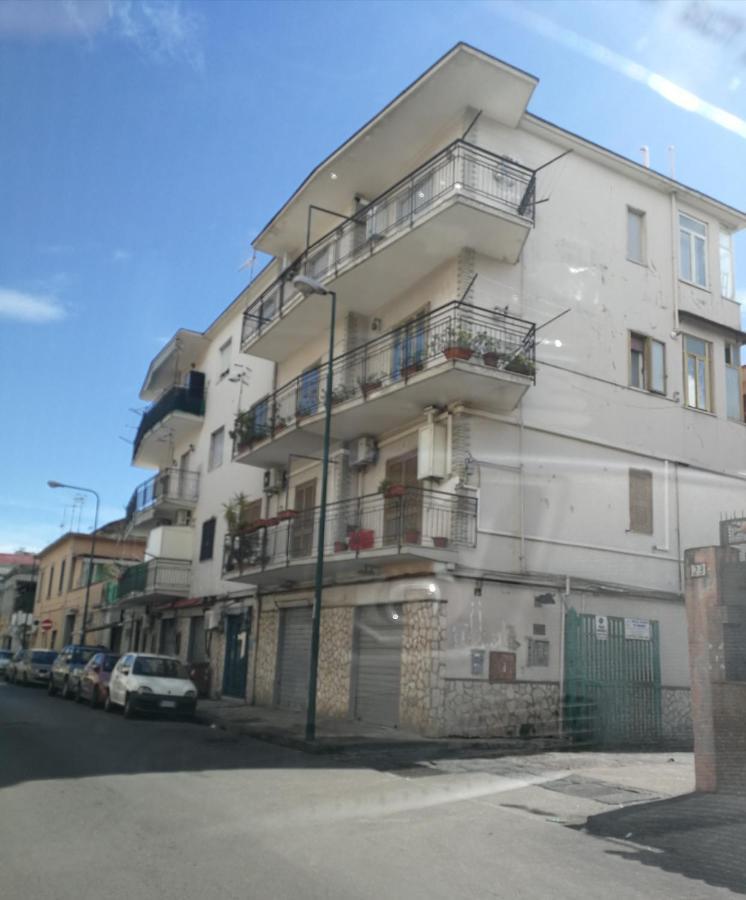 Bellidea * Naples